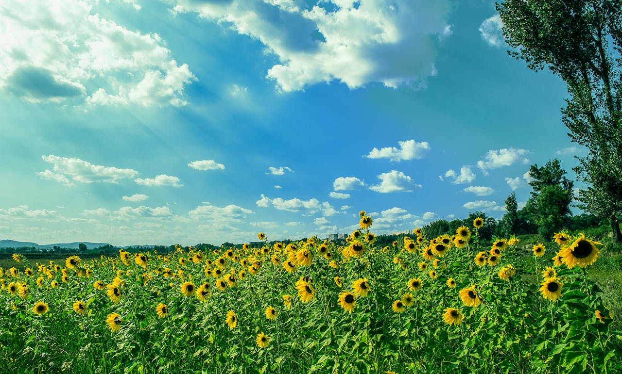 Primavera-Verano y todo el año